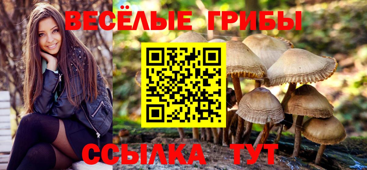 Галлюциногенные грибы ЛСД  Вход с VPN  Россошь 